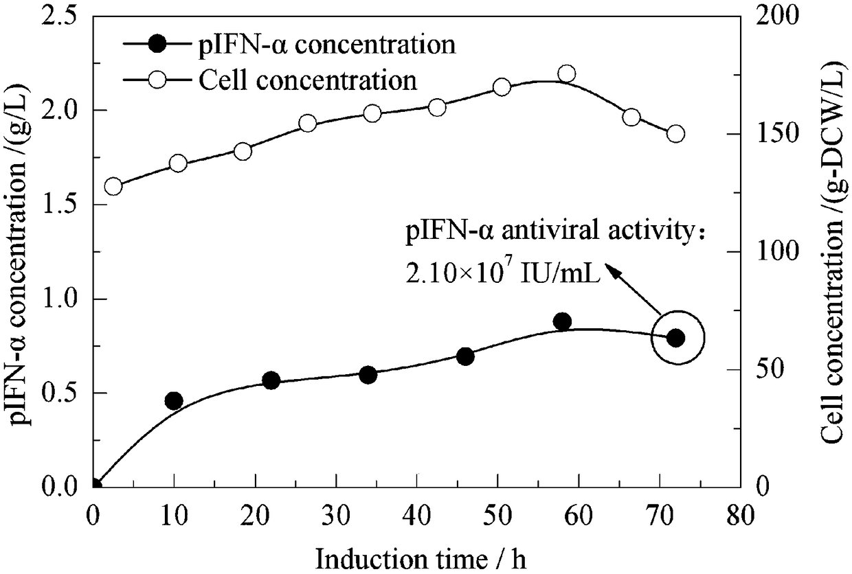 Method for intensifying expression of heterologous protein by MutS type pichia pastoris