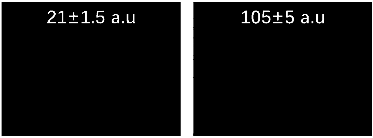 Biological stain-resistant coating with long-acting super-hydrophilic performance and preparation method thereof