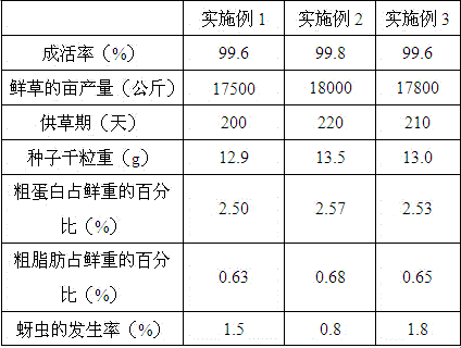 Ricefield eel mucus-containing biofertilizer and preparation method thereof