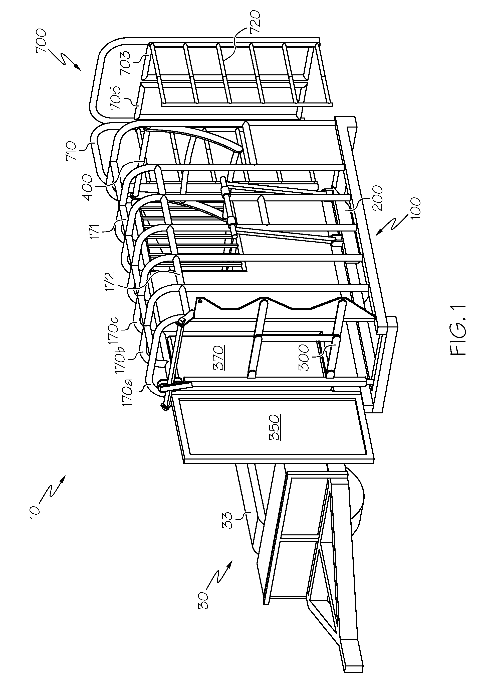 Cattle Hoof Trimming Chute