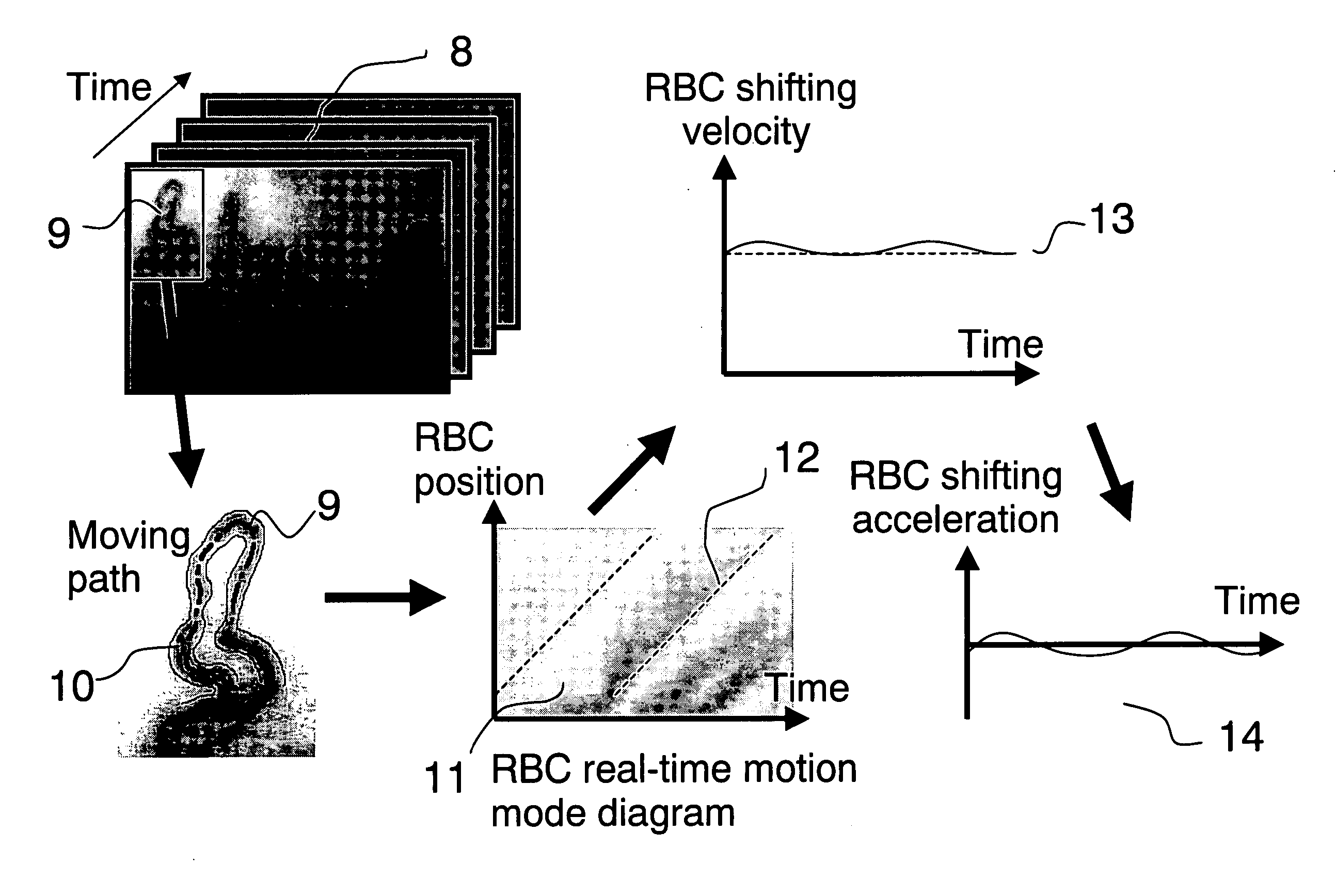 System and method for real-time microcirculation diagnosis