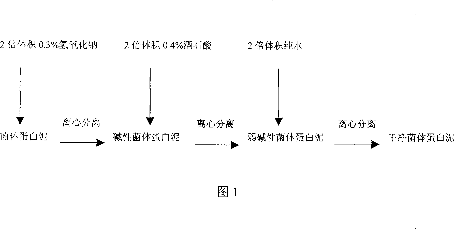 Method for producing single cell protein feed using waste molasses