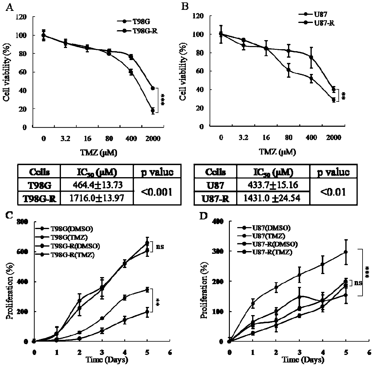 Application of scd1, a marker molecule for detection of drug resistance of glioma temozolomide