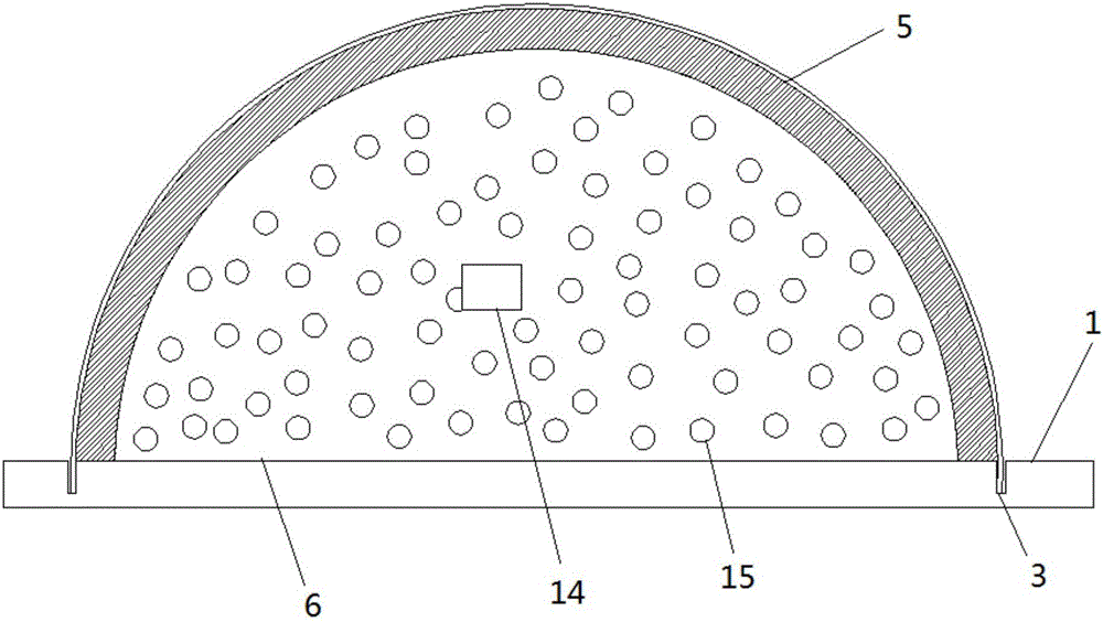 Device for animal tail vein injection