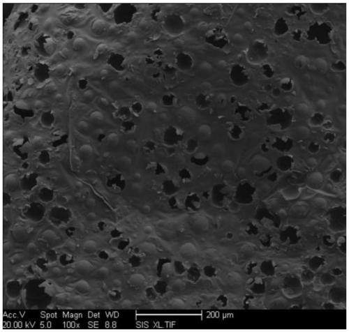 A kind of co-curable lightweight high-rigidity core material for composite material sandwich structure and its preparation method and application