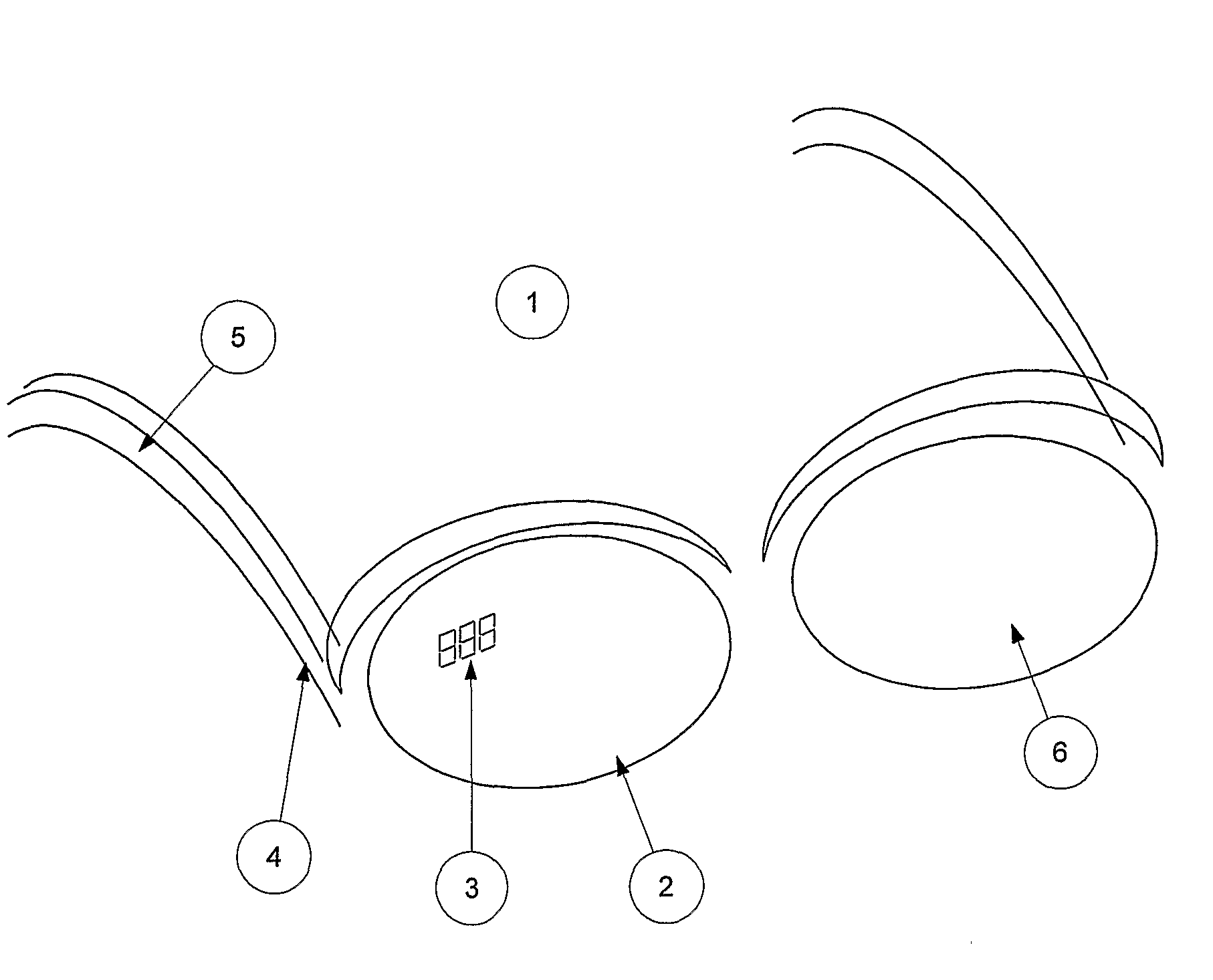 Spectacles With Embedded Segmented Display Comprising Light Guide End