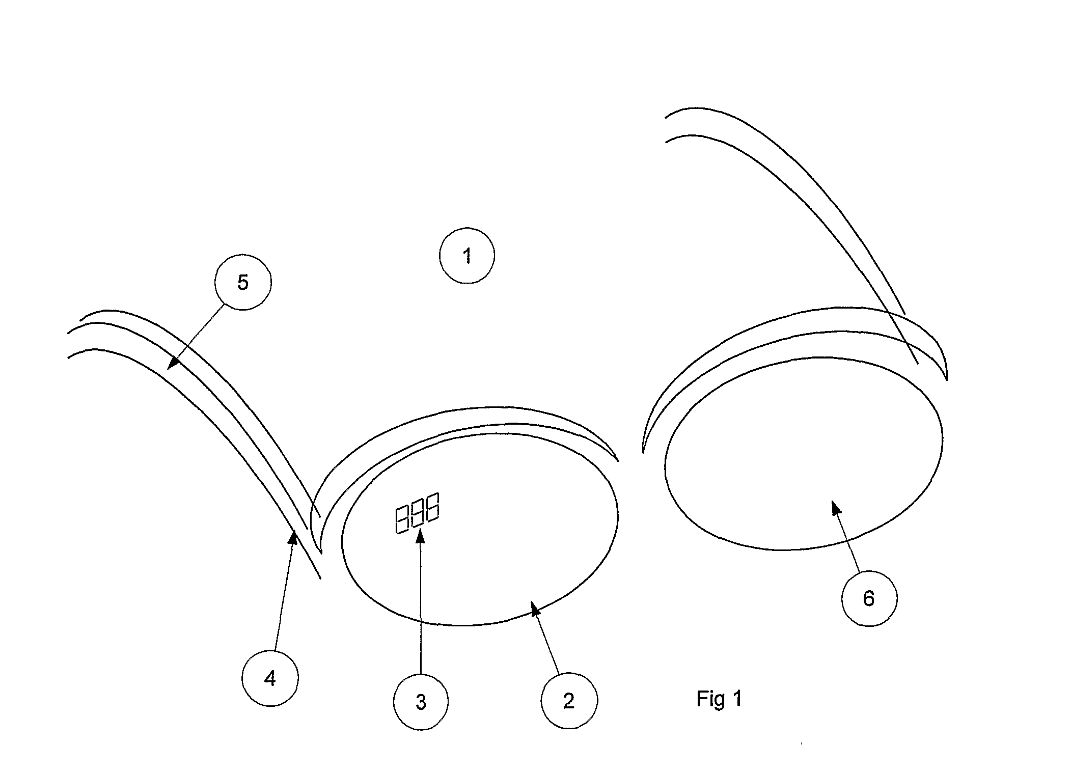 Spectacles With Embedded Segmented Display Comprising Light Guide End