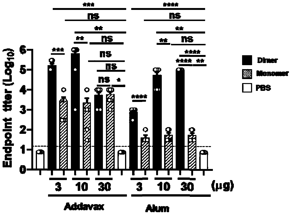 Beta-coronavirus antigen as well as preparation method and application thereof