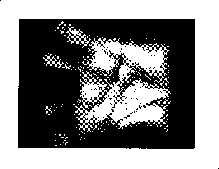 Highly precise safe palm recognition method encrypted based on phase characteristic of Log-Gabor mixed filtering