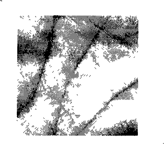 Highly precise safe palm recognition method encrypted based on phase characteristic of Log-Gabor mixed filtering