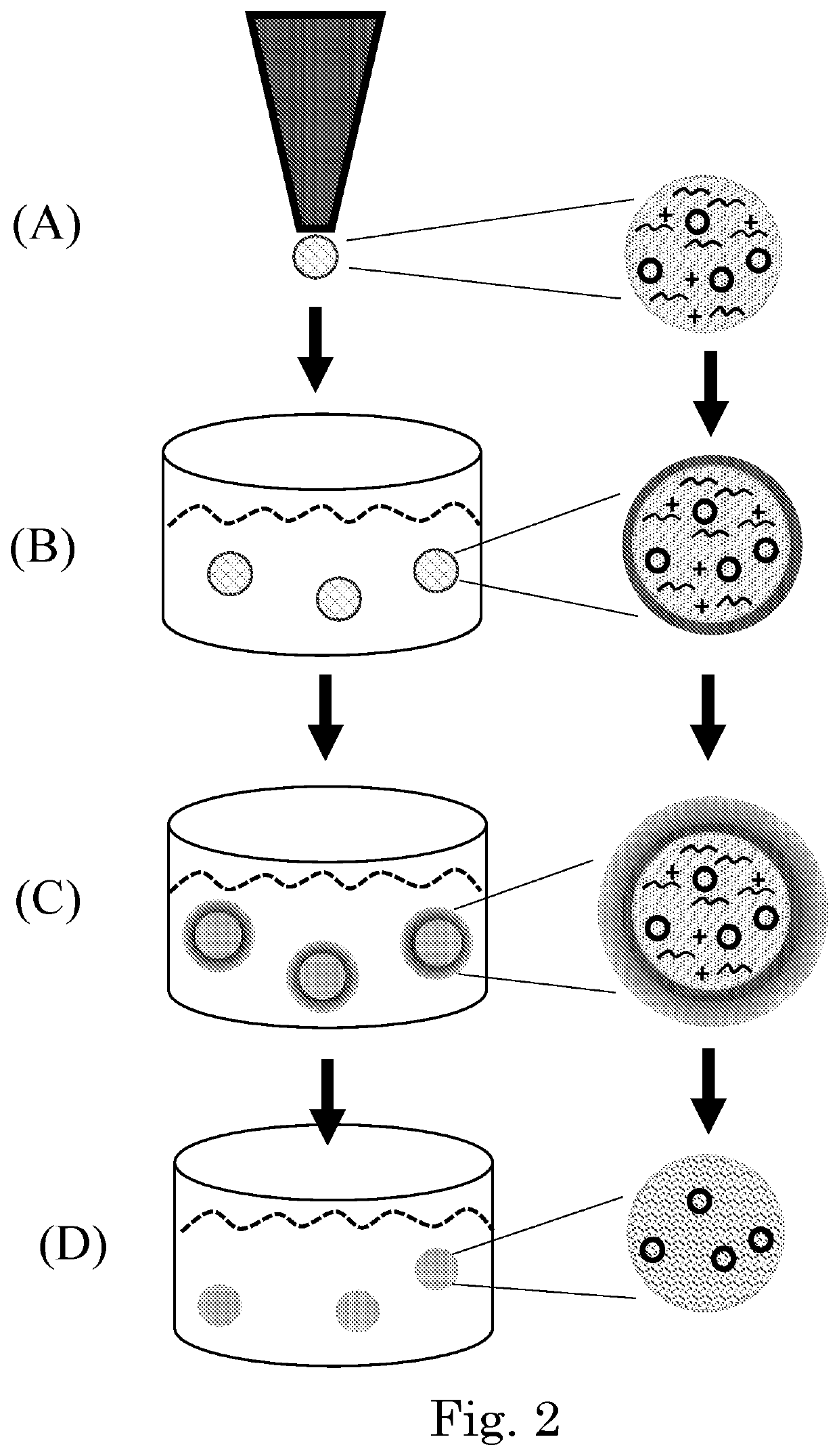 Tunable degradation in hydrogel microparticles