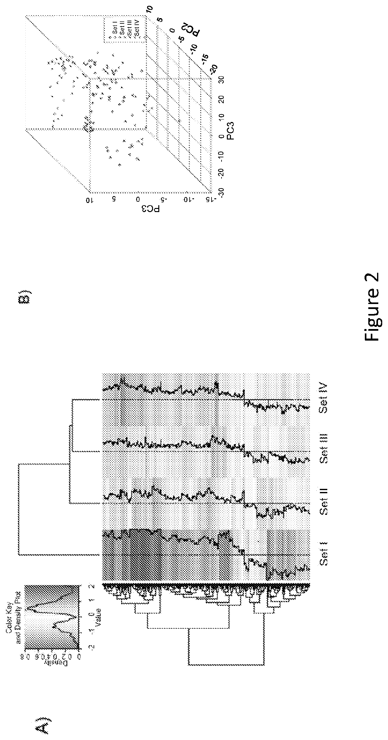 Methods and kits for the diagnosis and treatment of pancreatic cancer