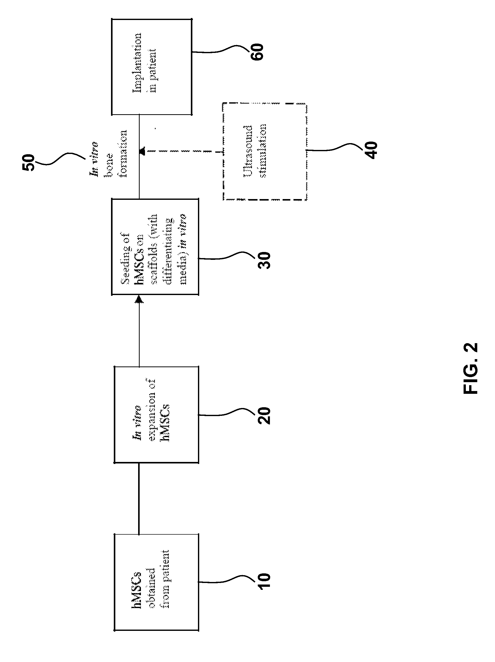 Ultrasound accelerated tissue engineering process