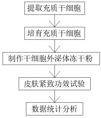 Research method for skin tightening effect by adopting stem cell exosomes