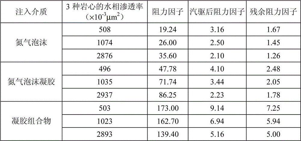 A kind of gel composition and its nitrogen foam gel composite temporary plugging agent