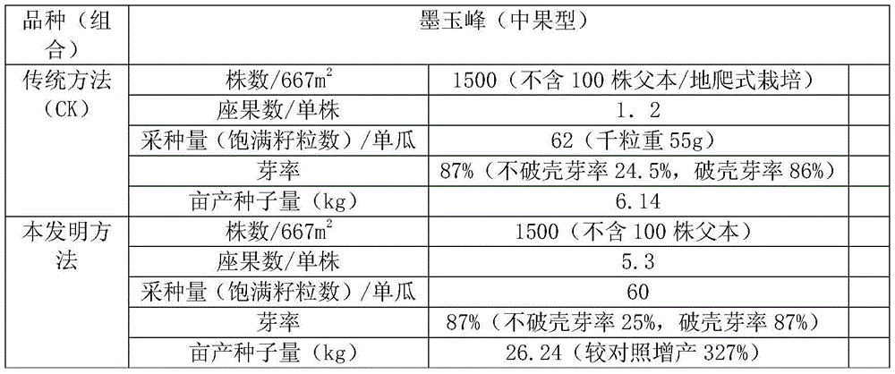 A method for increasing seed production of seedless watermelon