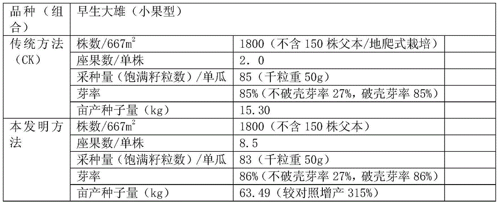 A method for increasing seed production of seedless watermelon