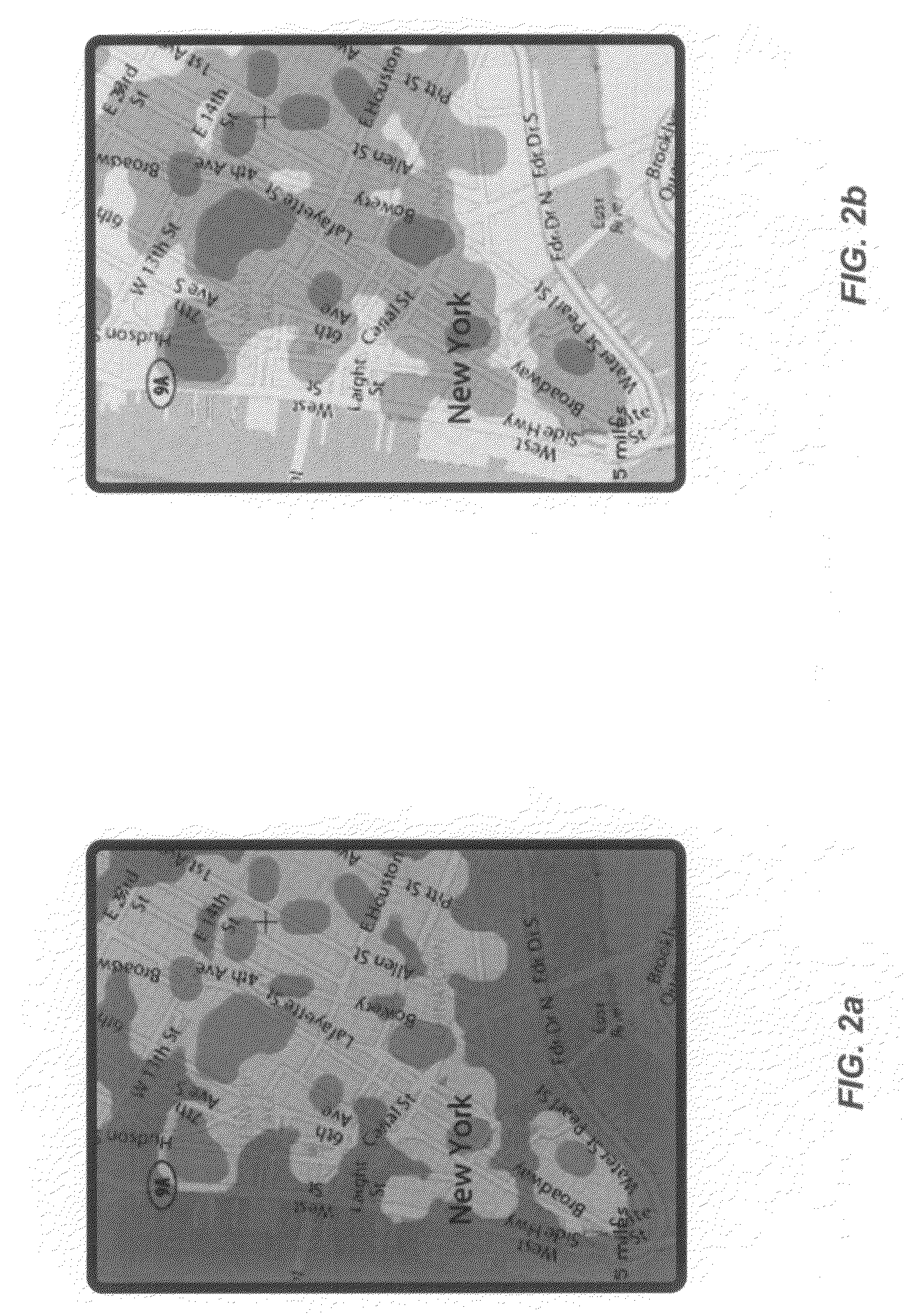 Techniques for representing location information