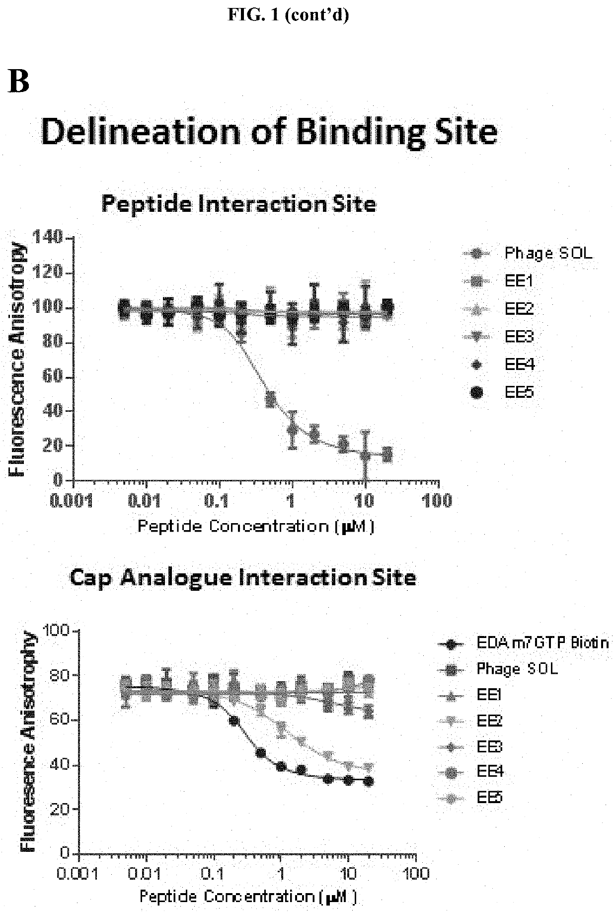 Peptides and Compounds that Bind to Elongation Initiation Factor 4E