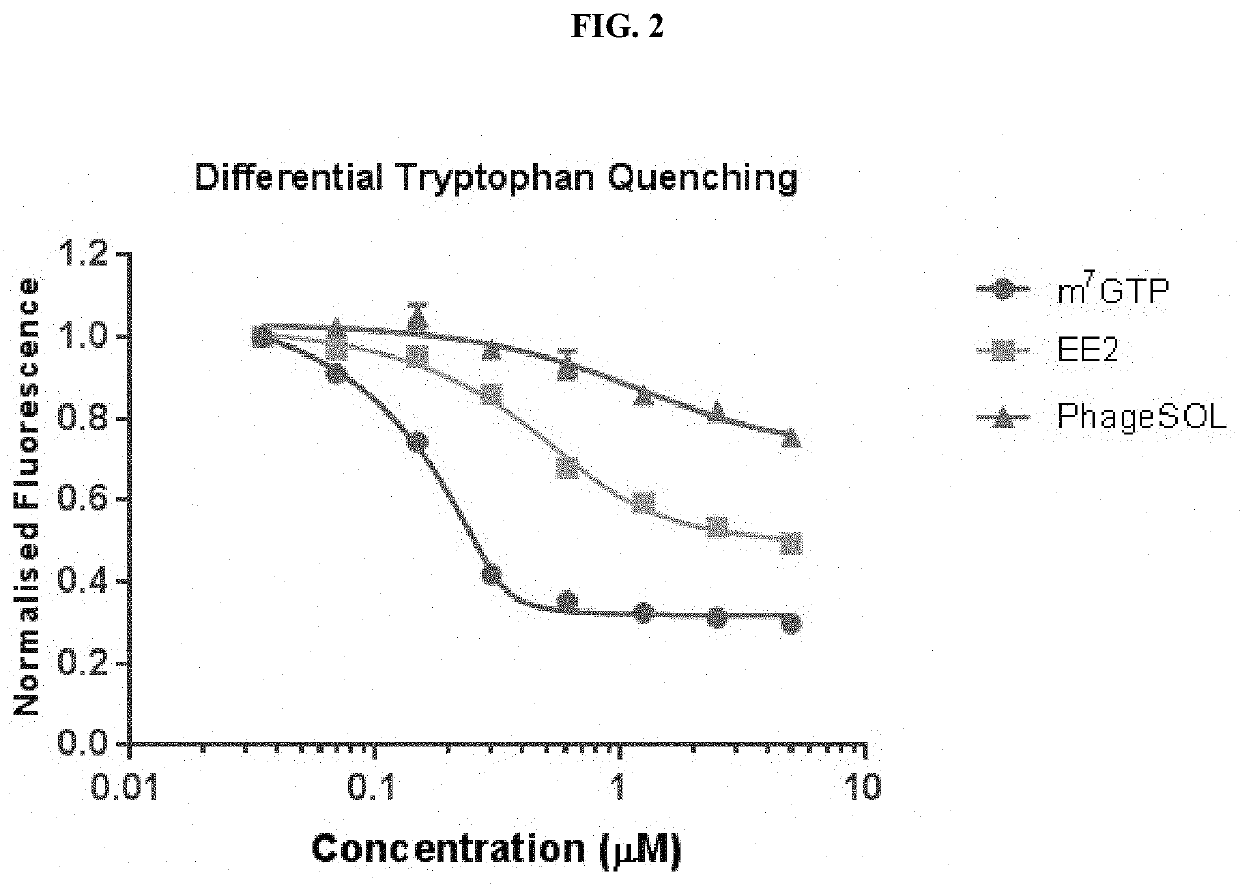 Peptides and Compounds that Bind to Elongation Initiation Factor 4E