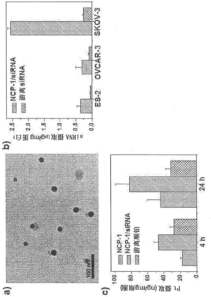 Nanoscale carriers for the delivery or co-delivery of chemotherapeutics, nucleic acids and photosensitizers