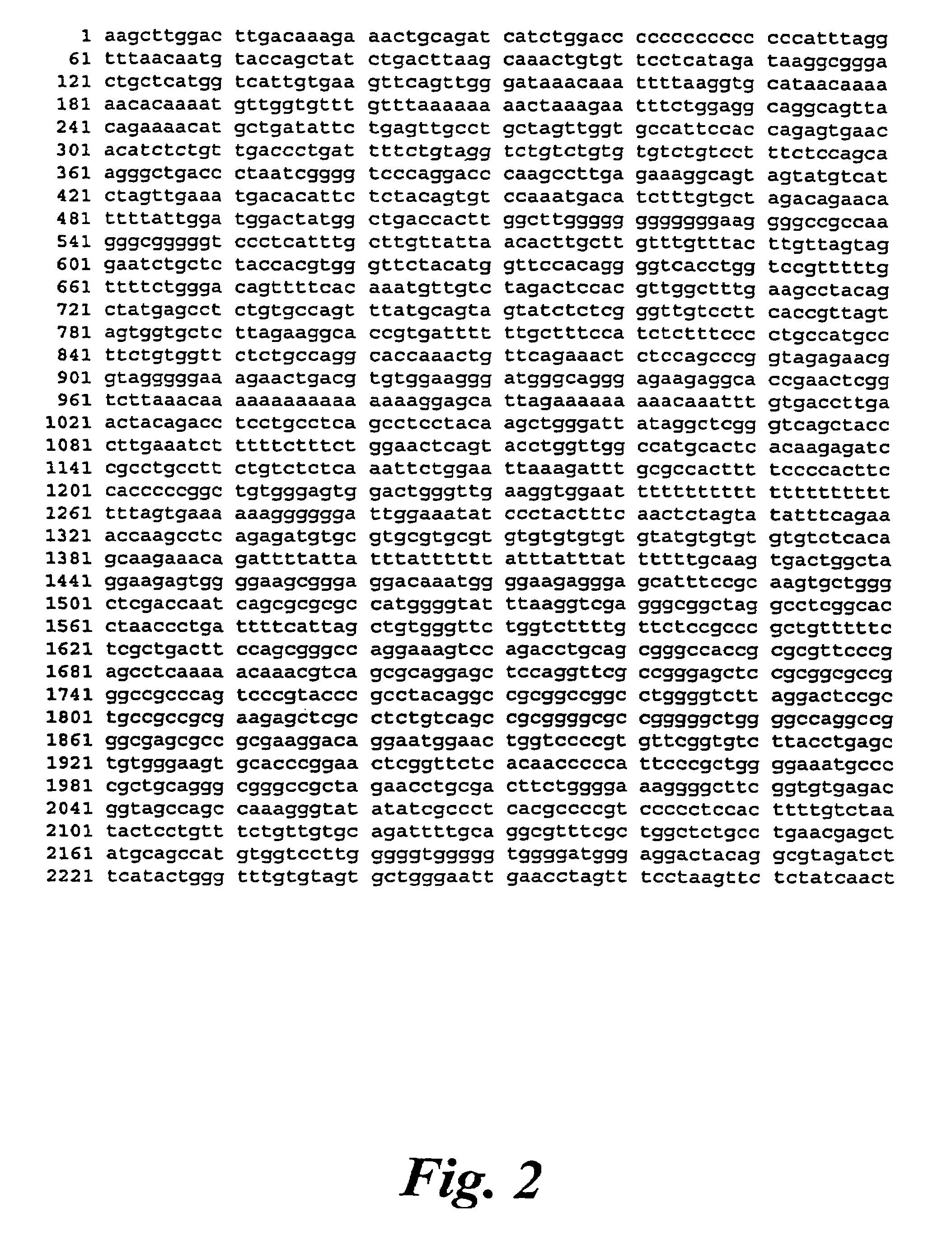 Promoter regions of the mouse and human telomerase RNA component genes