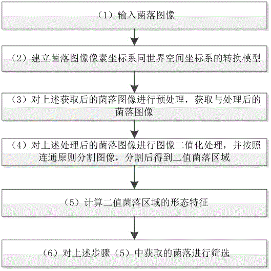 Automatic bacterial colony screening method based on bacterial colony morphological characteristics