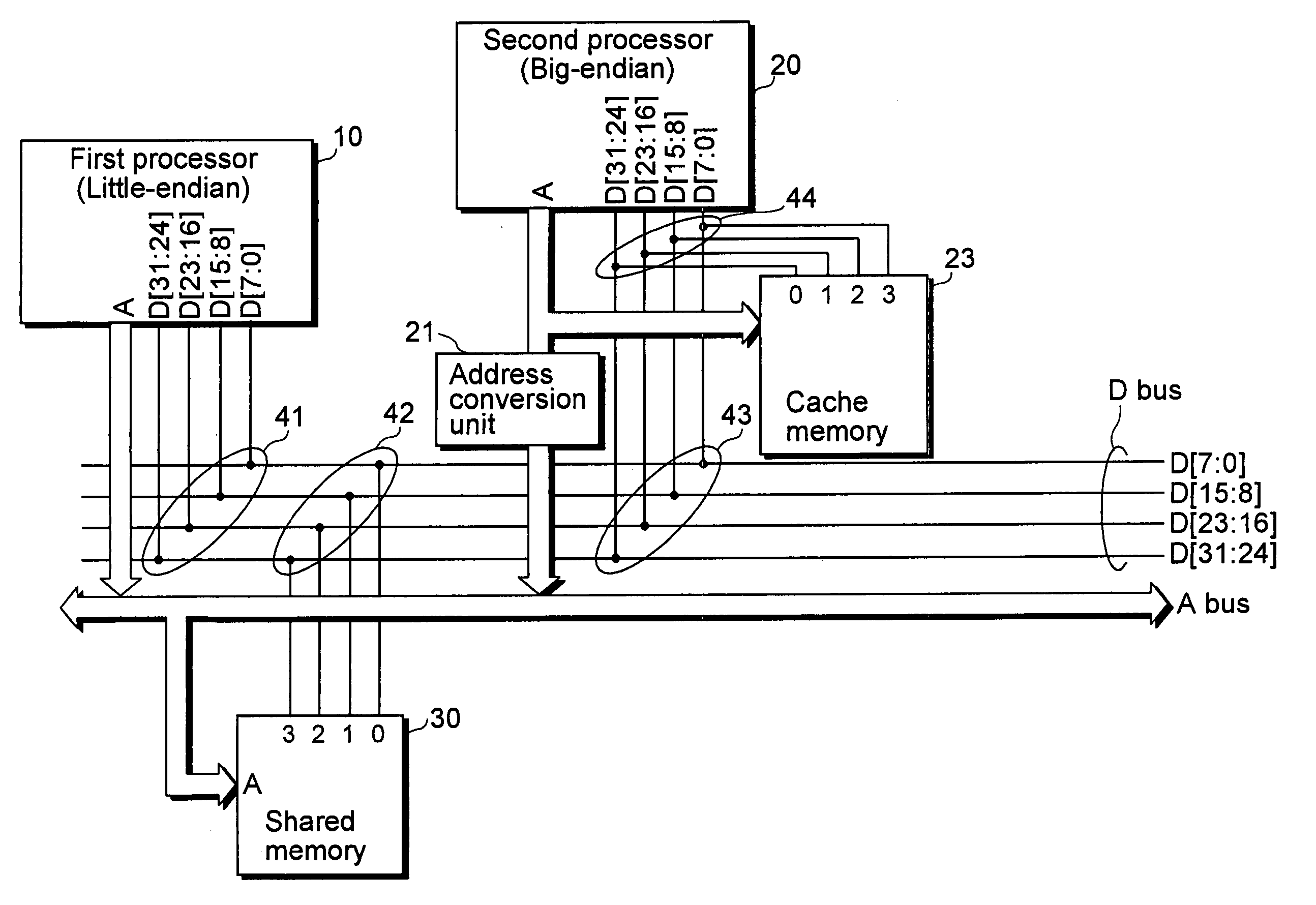 Data sharing apparatus and processor for sharing data between processors of different endianness