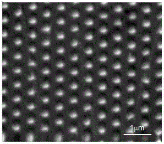 Preparation method for photonic crystal plastic scintillator