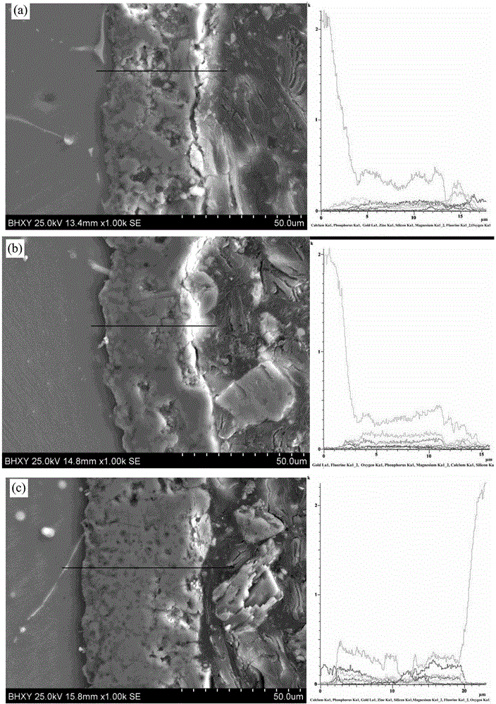 Method for preparing calcium silicon phosphor biological ceramic coating through two steps and application