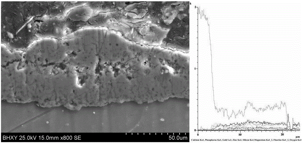 Method for preparing calcium silicon phosphor biological ceramic coating through two steps and application