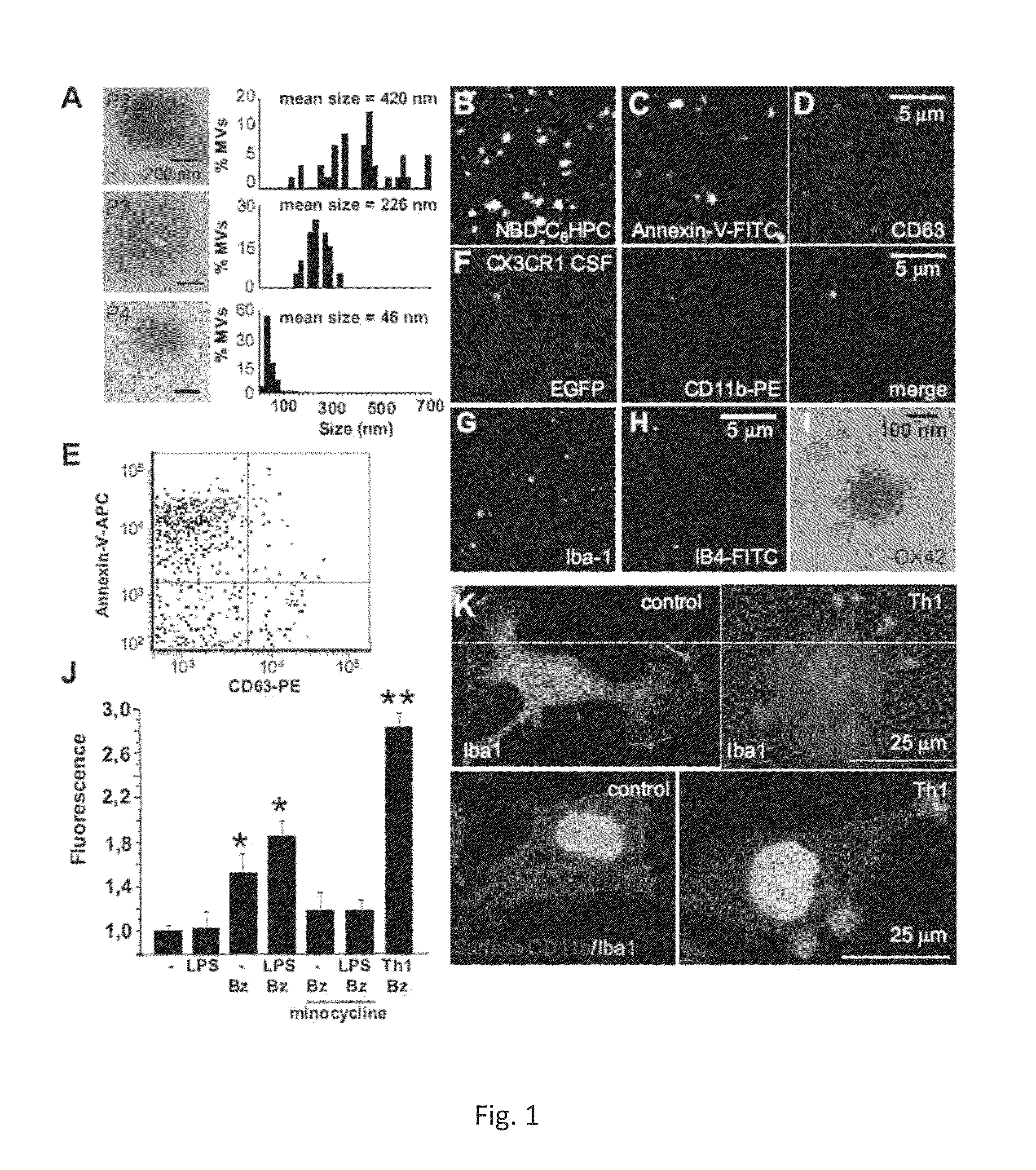 Increase of myeloid microvesicles in the cerebrospinal fluid as biomarker of microglia/macrophage activation in neurological disorders