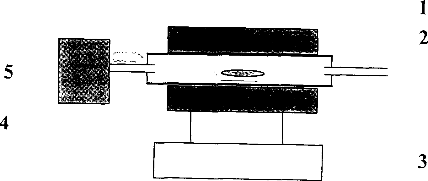 Process for preparing tree-shaped carbon nano tube