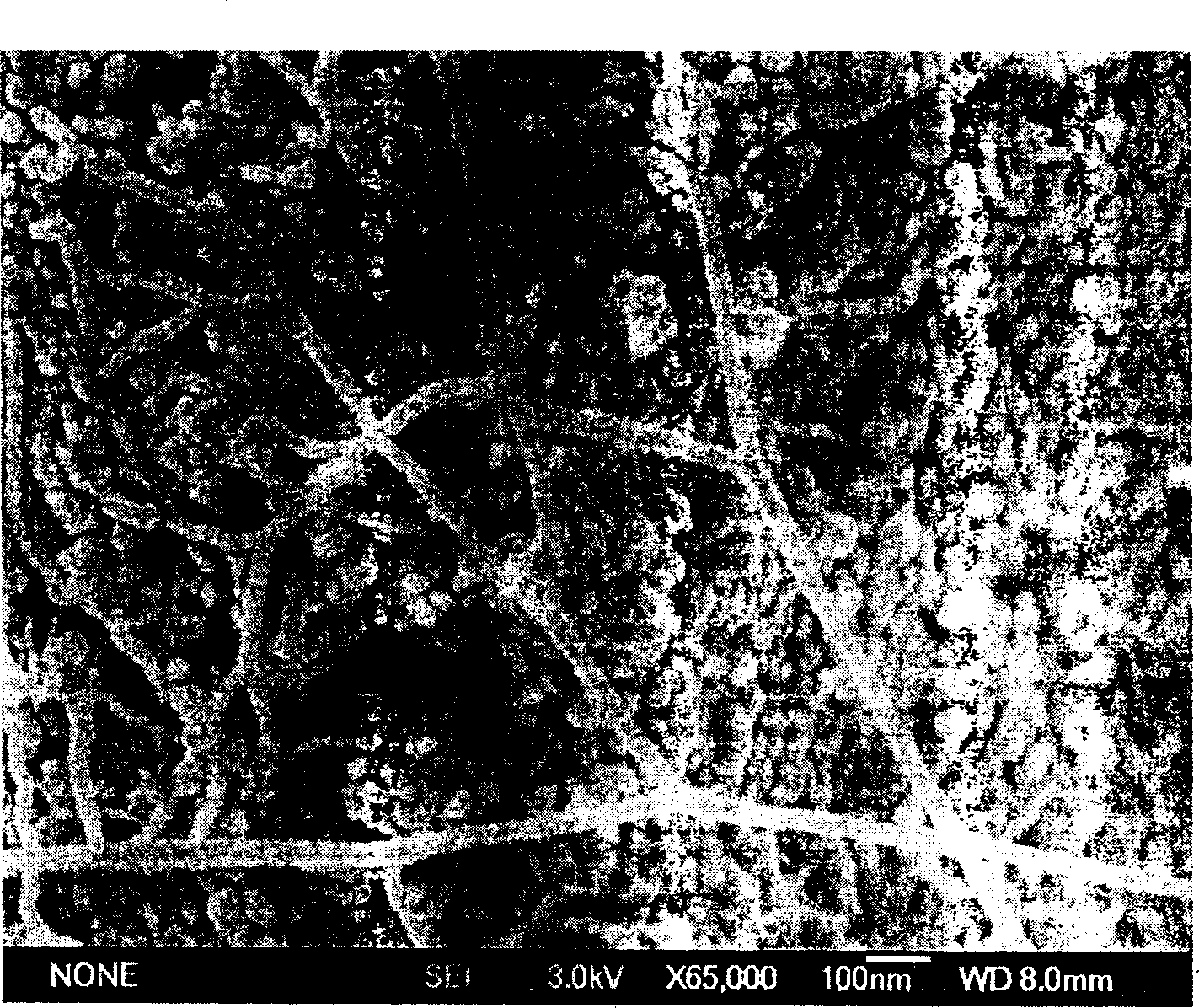 Process for preparing tree-shaped carbon nano tube