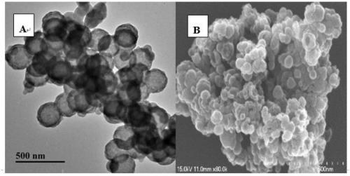 A method for detecting the specific immunoglobulin e of Penaeus lanceolata