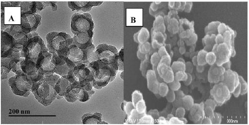 A method for detecting the specific immunoglobulin e of Penaeus lanceolata