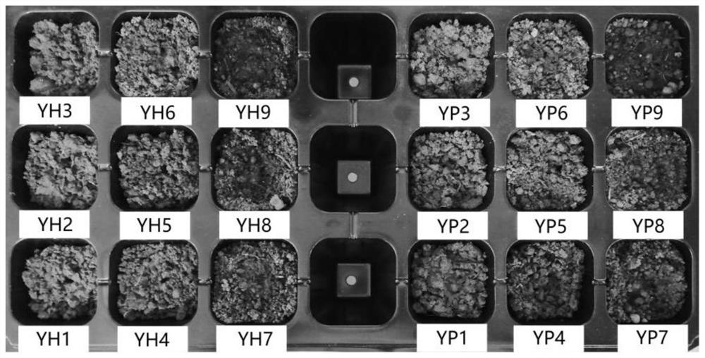 Treatment and comprehensive utilization method of foundation engineering slurry