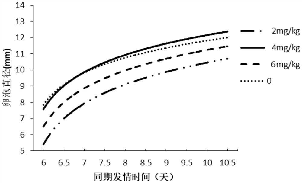 A treatment method for improving the reproductive rate and milk production of dairy cows in summer by using capsaicin