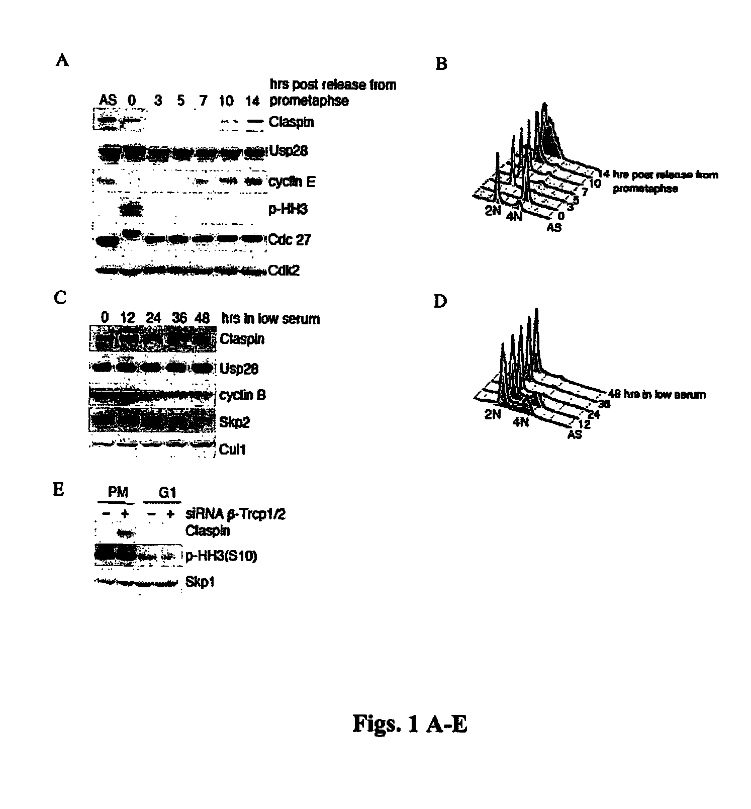 Modulating the CDC14B-CDH1-PLK1 axis and methods for sensitizing target cells to apoptosis