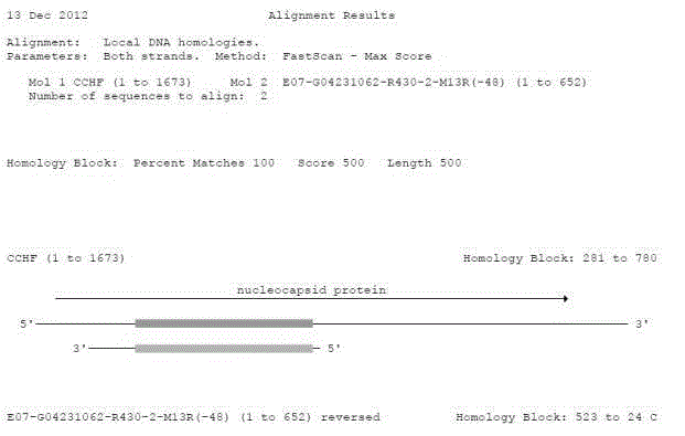 Crimean-Congo hemorrhagic fever virus nucleic acid molecule characteristic standard sample and its preparation method