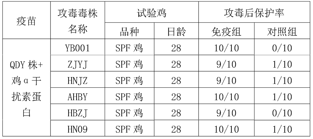 A strain of h9 subtype avian influenza virus