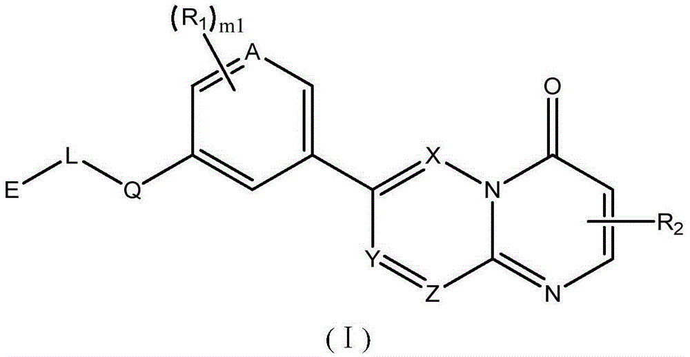 Pyrido[1,2-a]pyrimidone analogs as mTOR/PI3K inhibitors