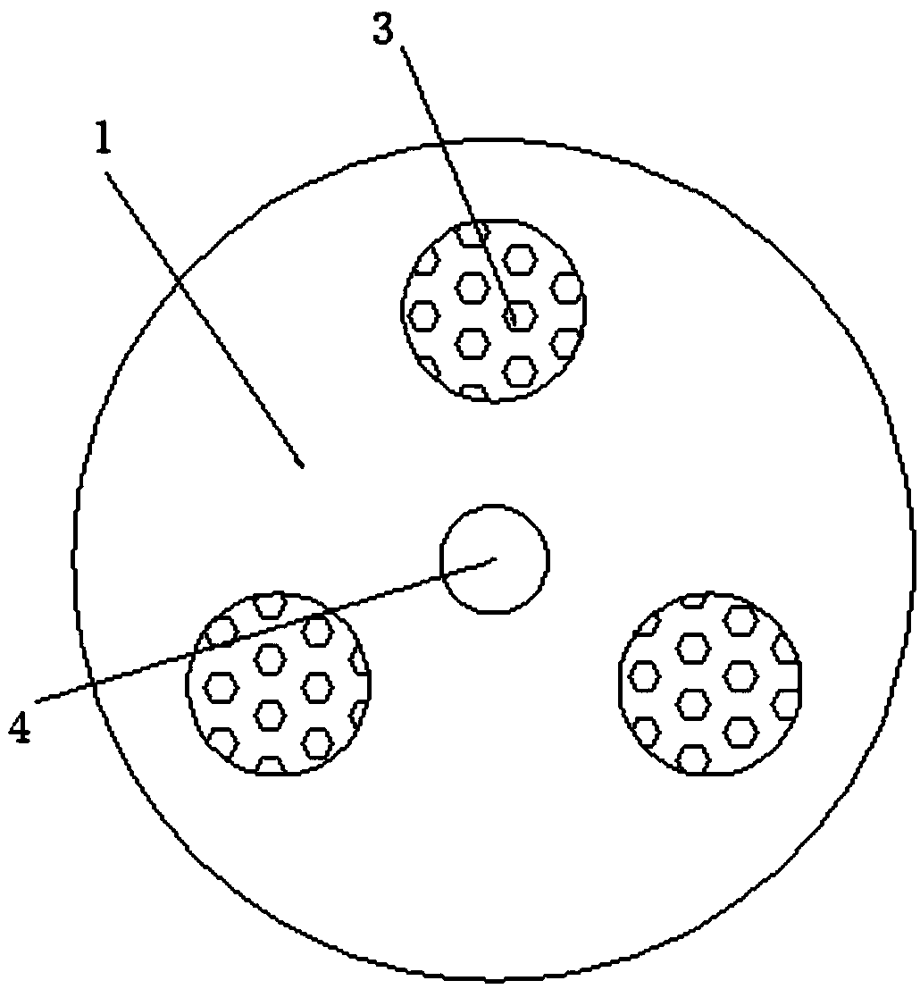 Polarization radiating unit permanent magnet motor