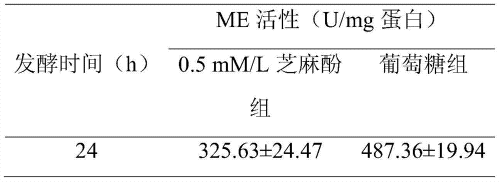 A method for promoting the synthesis of DHA in Schizochytrium oil