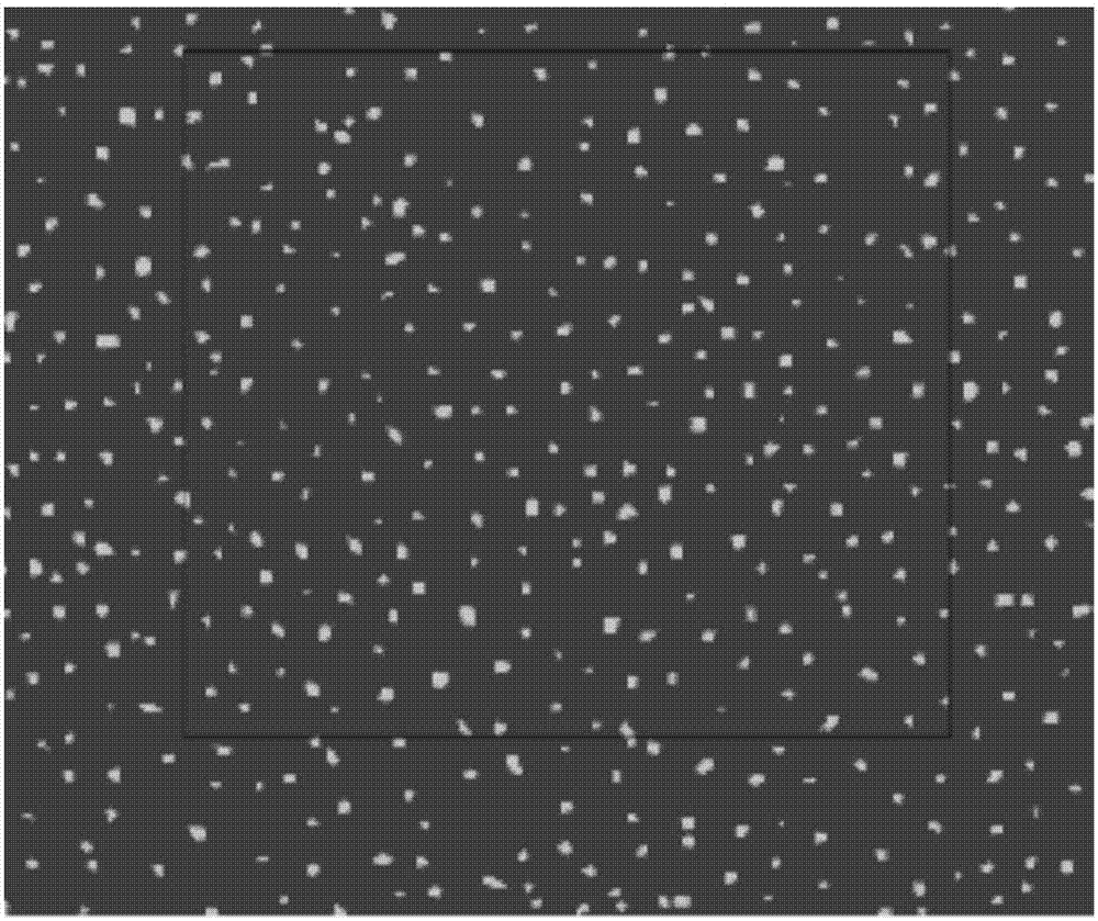 Graphene composite foam metal and preparation method thereof