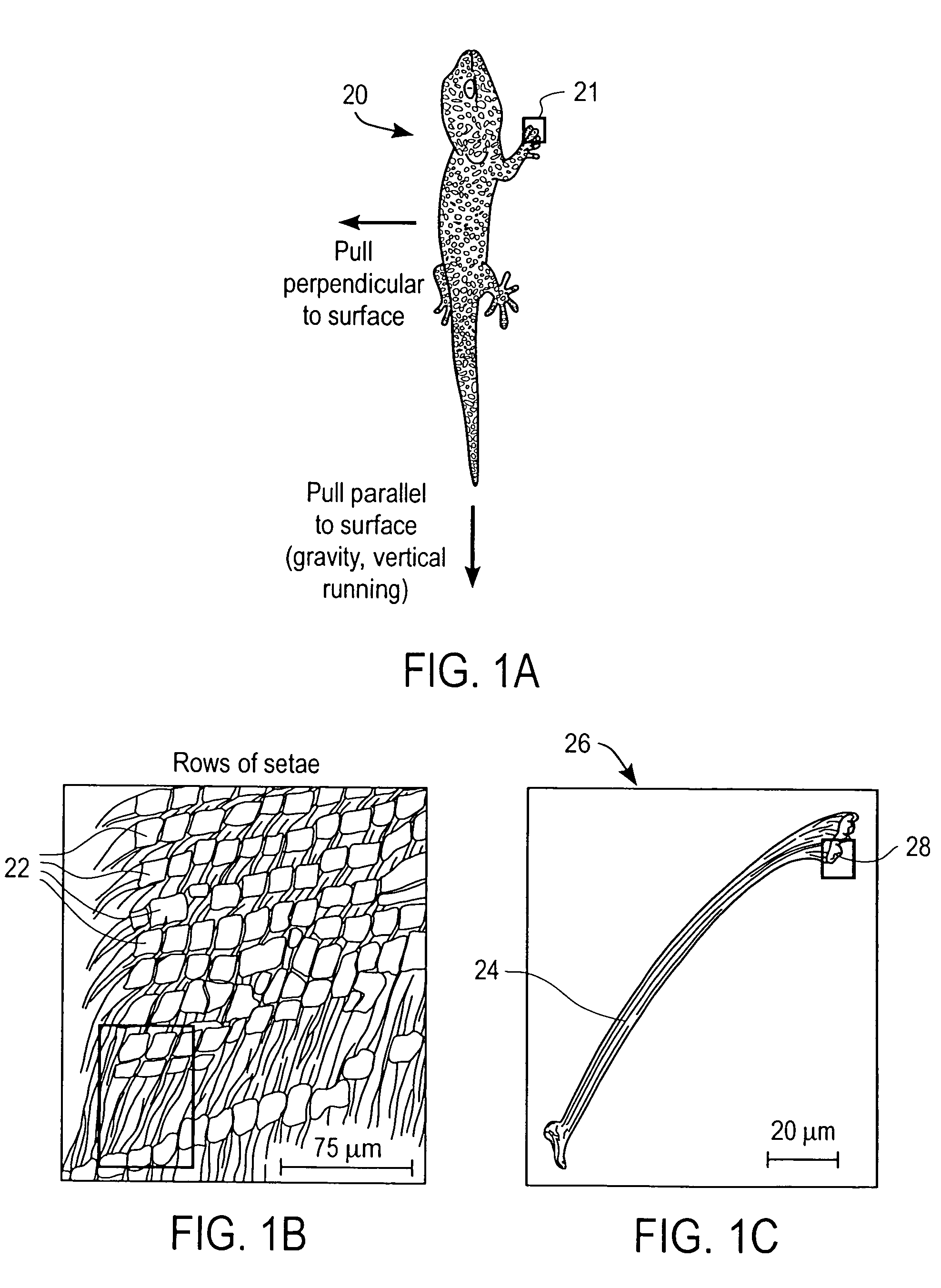 Controlling peel strength of micron-scale structures