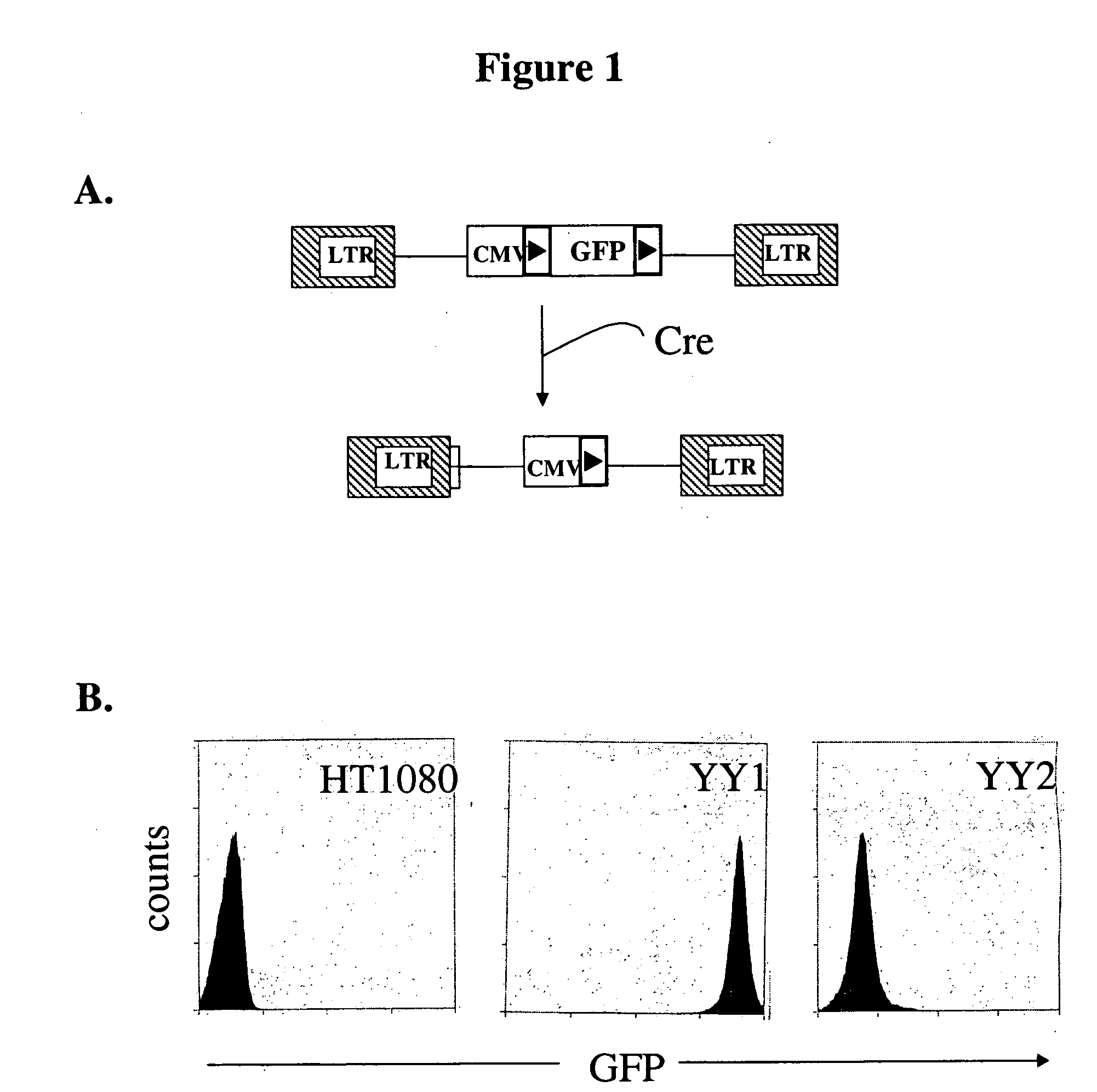 Novel lentiviral vectors for site-specific gene insertion