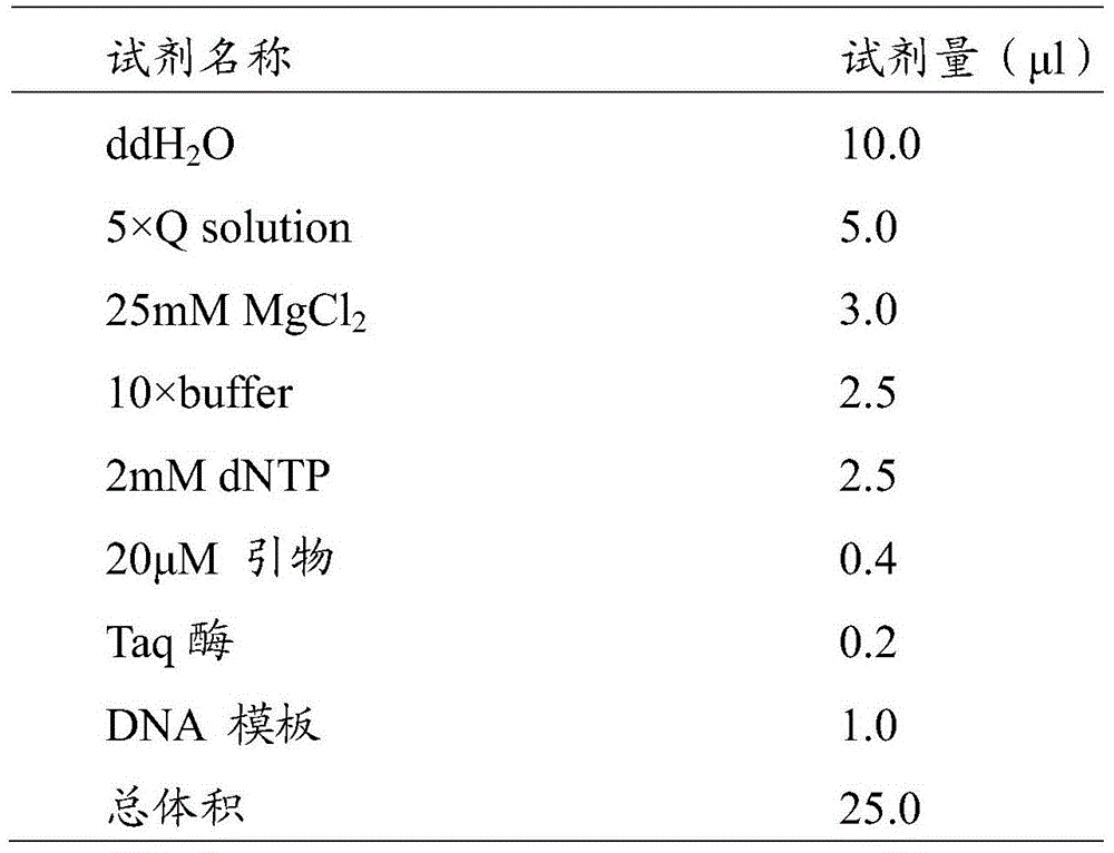 A congenital aniridia causative gene, a kit for detecting the gene and its application