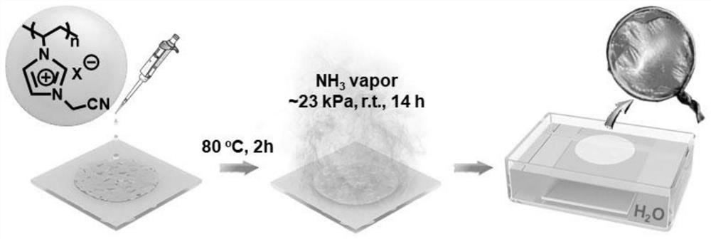 Cationic nitrile cross-linking reaction and method for preparing polyelectrolyte membrane