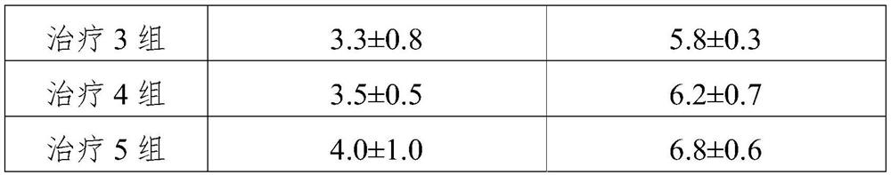 Oral care composition and preparation method thereof